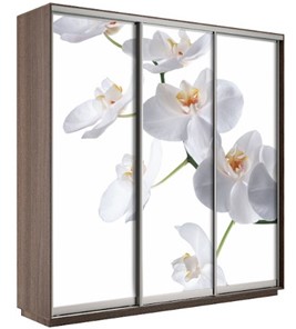 Шкаф трехдверный Экспресс 2100х600х2200, Орхидея белая/шимо темный в Чебоксарах