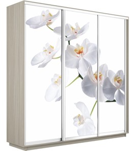 Шкаф 3-створчатый Е1 Экспресс 2400х600х2200, Орхидея белая/шимо светлый в Чебоксарах