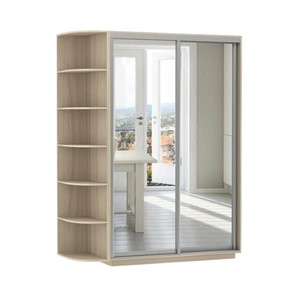 Шкаф 2-дверный Экспресс (2 зеркала), со стеллажом 1700x600x2200, шимо светлый в Чебоксарах