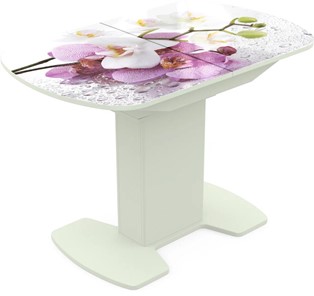 Кухонный стол раскладной Корсика исп. 2 Фотопечать (Цветы №44) 1200(1515)*800 в Чебоксарах