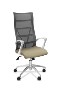 Офисное кресло для руководителя Топ X белый каркас, сетка/ткань TW / серая/светло-серая в Чебоксарах