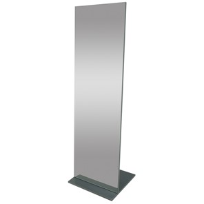 Напольное зеркало Стелла (графит темный) 163,5 см x 50 см в Чебоксарах
