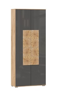 Шкаф двухстворчатый Фиджи с декоративными накладками 659.310, Дуб Золотой/Антрацит в Чебоксарах