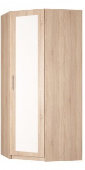 Шкаф угловой Реал (YR-230х884 (9)-М Вар.1), с зеркалом в Чебоксарах - изображение