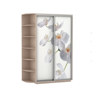 Шкаф двухдверный Экспресс 1700x600x2200, со стеллажом, Орхидея белая/дуб молочный в Чебоксарах - предосмотр