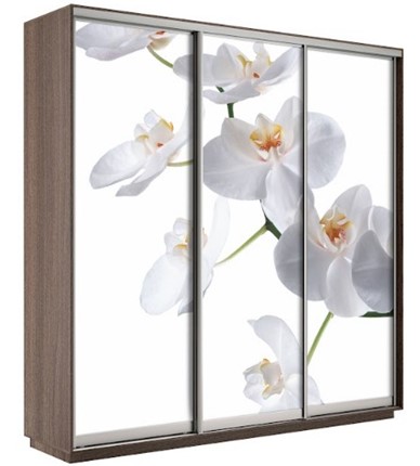 Шкаф 3-х дверный Экспресс 1800х600х2200, Орхидея бела/шимо темный в Чебоксарах - изображение