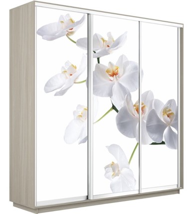 Шкаф 3-дверный Экспресс 2400х600х2400, Орхидея белая/шимо светлый в Чебоксарах - изображение