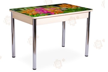 Кухонный стол раздвижной Айсберг-02 СТФ, Дуб ЛДСП/полевые цветы/ноги хром прямые в Чебоксарах