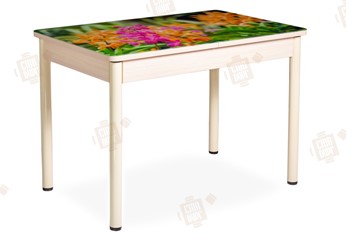 Кухонный раздвижной стол Айсберг-02 СТФ, Дуб ЛДСП/полевые цветы/ноги крашеные в Чебоксарах