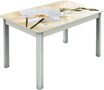 Раздвижной стол Гамбург исп.2 ноги метал. крашеные №23, Фотопечать (Цветы №5) в Чебоксарах