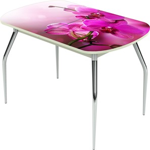 Кухонный стол раздвижной Ривьера исп.1 ноги метал. крашеные №24 Фотопечать (Цветы №16) в Чебоксарах