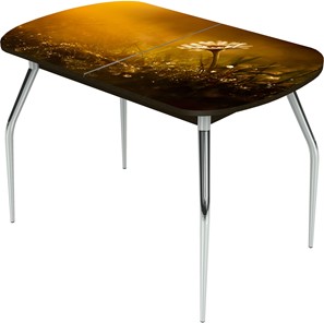 Кухонный стол раздвижной Ривьера исп.2 ноги метал. крашеные №24 Фотопечать (Цветы №43) в Чебоксарах