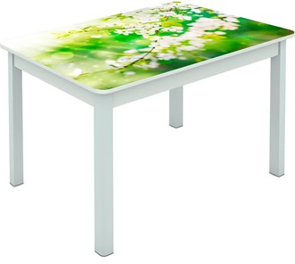 Обеденный стол Мюнхен исп. 1 ноги метал. крашеные №23 Фотопечать (Цветы №45) в Чебоксарах