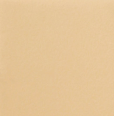 Стул кухонный Роджер Эконом С102-2(стандартная покраска) в Чебоксарах - изображение 9