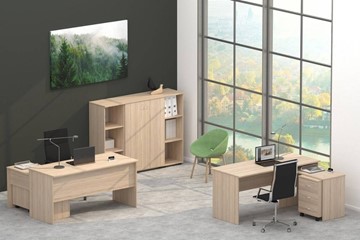 Набор мебели в офис Twin в Чебоксарах - предосмотр 4