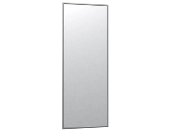 Зеркало навесное в гардероб Сельетта-6 матовое серебро (1100х400х9) в Чебоксарах