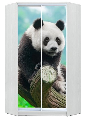 Детский угловой шкаф Хит-У-24-4-77-29, Панда, Белый в Чебоксарах - изображение