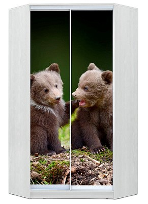 Детский угловой шкаф Хит-У-23-4-77-25, Медвежата, Белый в Чебоксарах - изображение