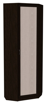 Шкаф распашной 402 угловой со штангой, цвет Венге в Чебоксарах - изображение