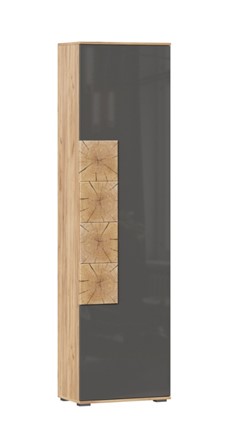 Шкаф одностворчатый Фиджи с декоративными накладками 659.300, Дуб Золотой/Антрацит в Чебоксарах - изображение