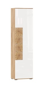 Шкаф одностворчатый Фиджи с декоративными накладками 659.300, Дуб Золотой/Белый в Чебоксарах