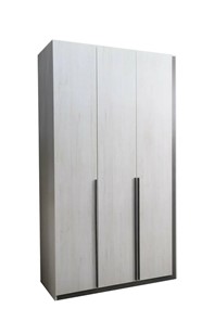 Распашной шкаф Винтер-3, винтерберг/темно-серый в Чебоксарах