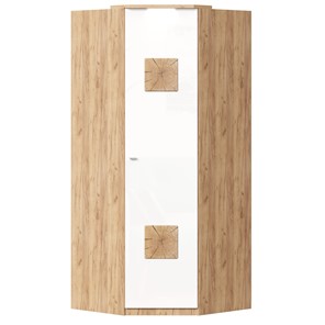 Шкаф угловой 45 с декоративной накладкой Фиджи, 659.248, белый в Чебоксарах - предосмотр
