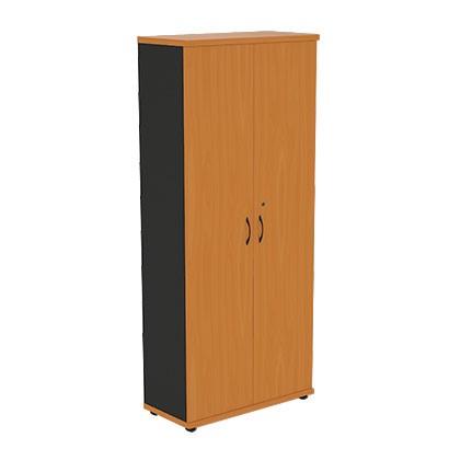 Шкаф 2-створчатый Моно-Люкс R5S05 в Чебоксарах - изображение