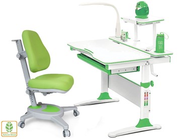 Растущая парта + стул Комплект Mealux EVO Evo-30 Z (арт. Evo-30 Z + Y-110 KZ), серый, зеленый в Чебоксарах